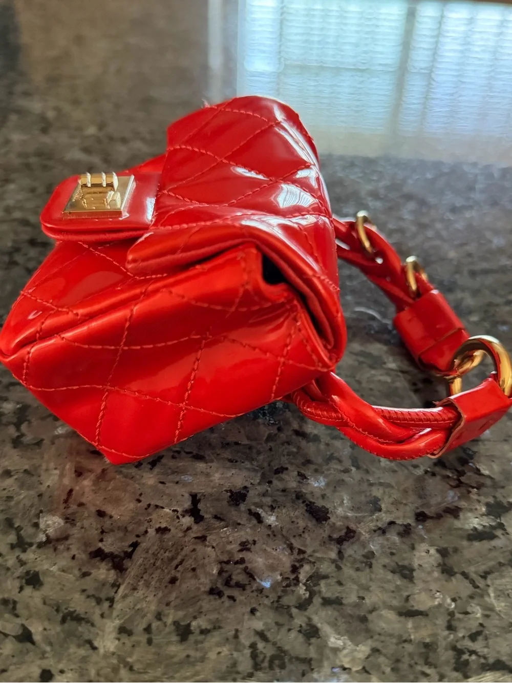 CHANEL ankle monitor bag